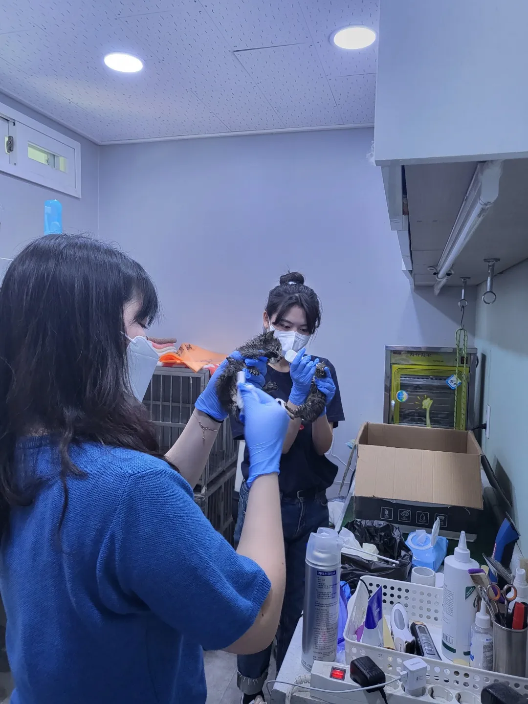 KakaoTalk_20220530_091130035_04.webp